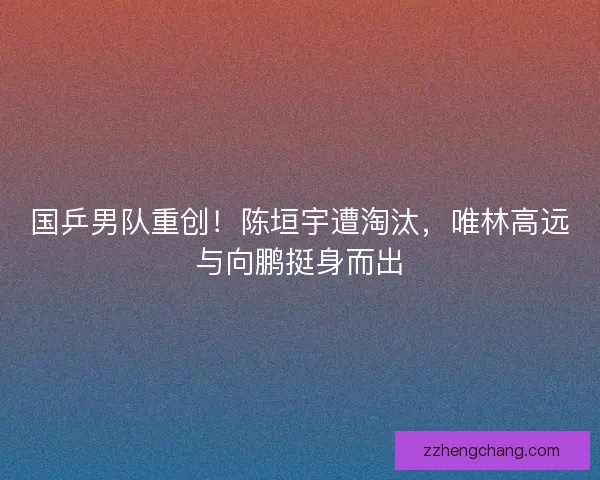 国乒男队重创！陈垣宇遭淘汰，唯林高远与向鹏挺身而出