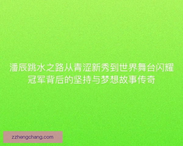 潘辰跳水之路从青涩新秀到世界舞台闪耀冠军背后的坚持与梦想故事传奇
