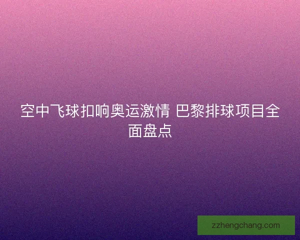 空中飞球扣响奥运激情 巴黎排球项目全面盘点